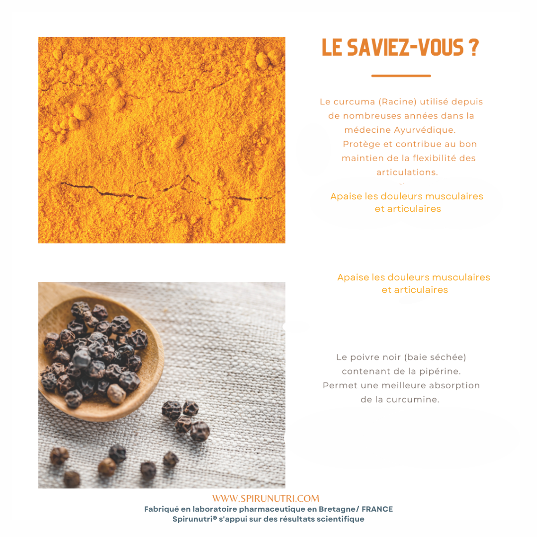 Spiru Arth BIO Confort articulaire