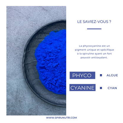 Spiru Sport BIO  Récupération - Endurance