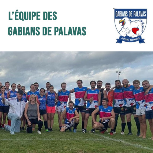 Gabians de Palavas